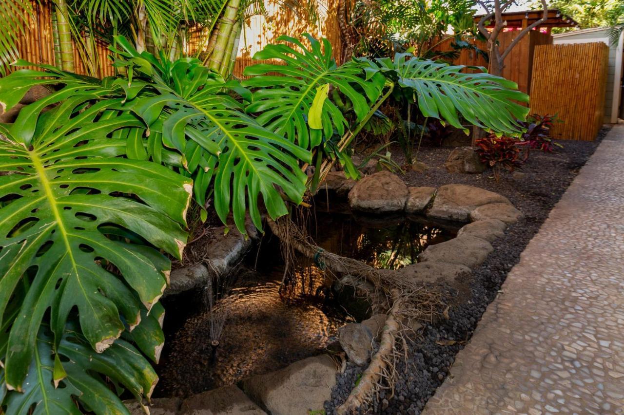 Studio With Mini Kitchen, Pool And Bbq, Pre-Renovation Summer Sale Kihei Luaran gambar